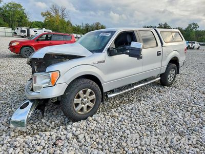 2013 FORD F150 SUPERCREW 1FTFW1CF0DKF19428 - główne zdjęcie licytacji z USA - miniatura