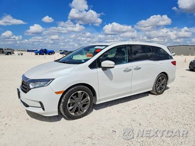 2022 HONDA ODYSSEY ELITE 5FNRL6H95NB001089 - główne zdjęcie licytacji z USA - miniatura