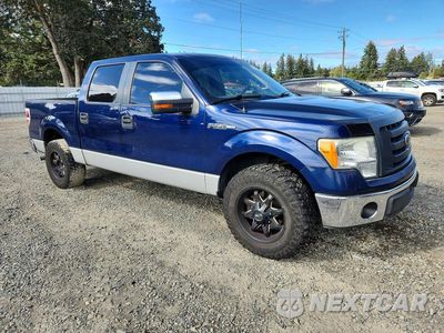 Czwarte zdjęcie samochodu z boku: 2009 FORD F150 SUPERCREW VIN:1FTRW12829FA07413 - miniatura