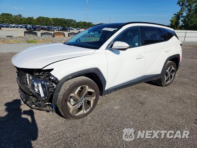 2024 HYUNDAI TUCSON LIMITED 5NMJECDE5RH406169 - główne zdjęcie licytacji z USA - miniatura