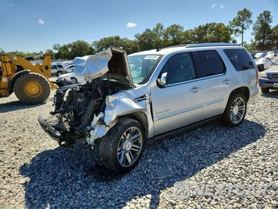 2012 CADILLAC ESCALADE PREMIUM 1GYS4CEF4CR262660 - główne zdjęcie licytacji z USA - miniatura