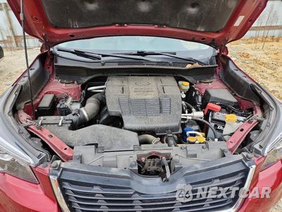 Zdjęcie 12 z 14 samochodu: 2019 SUBARU FORESTER LIMITED VIN:JF2SKAUC1KH554750 - miniatura