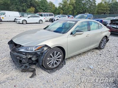 2019 LEXUS ES 350 58ABZ1B10KU047295 - główne zdjęcie licytacji z USA - miniatura