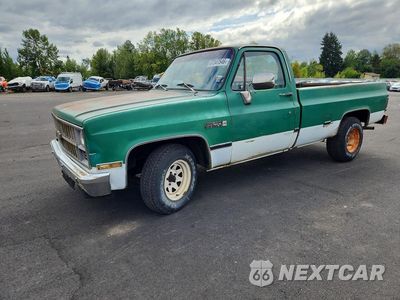 1981 GMC C1500 1GTCC14D1BJ500253 - główne zdjęcie licytacji z USA - miniatura