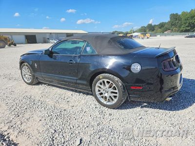 Drugie zdjęcie samochodu z przodu: 2013 FORD MUSTANG VIN:1ZVBP8EM7D5240425 - miniatura