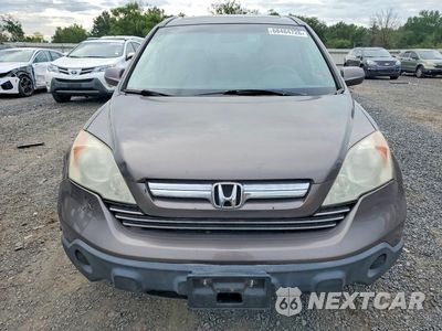 Piąte zdjęcie samochodu w środku: 2009 HONDA CR-V EXL VIN:5J6RE48709L055667 - miniatura