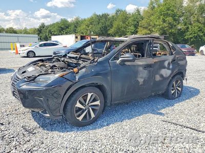 2018 LEXUS NX300 JTJYARBZ4J2086867 - główne zdjęcie licytacji z USA - miniatura