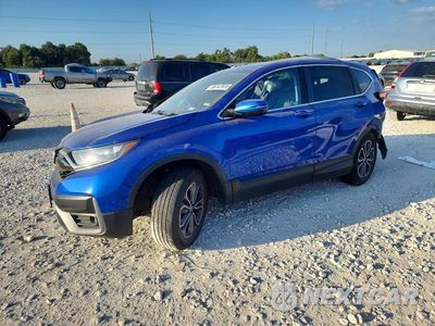 2021 HONDA CR-V EXL 7FARW1H83ME007560 - główne zdjęcie licytacji z USA - miniatura