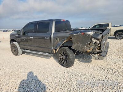 Drugie zdjęcie samochodu z przodu: 2016 FORD F150 SUPERCREW VIN:1FTEW1EF1GKF96922 - miniatura