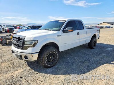 2014 FORD F150 SUPER CAB 1FTFX1ET2EFC03152 - główne zdjęcie licytacji z USA - miniatura