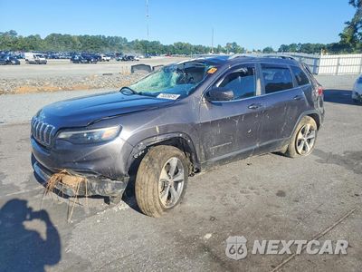 2019 JEEP CHEROKEE LIMITED 1C4PJMDN8KD134226 - główne zdjęcie licytacji z USA - miniatura