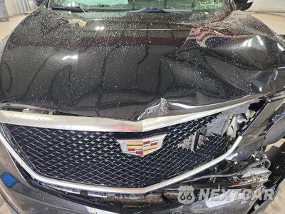 Zdjęcie 12 z 13 samochodu: 2021 CADILLAC XT5 SPORT VIN:1GYKNGRS0MZ162455 - miniatura