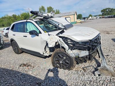 Czwarte zdjęcie samochodu z boku: 2026 HONDA CR-V TRAILSPORT VIN:7FARS6H69TE069499 - miniatura