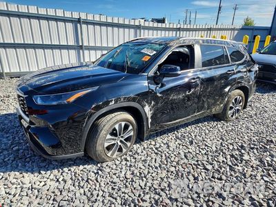 2023 TOYOTA HIGHLANDER XLE 5TDKDRBH9PS511718 - główne zdjęcie licytacji z USA - miniatura