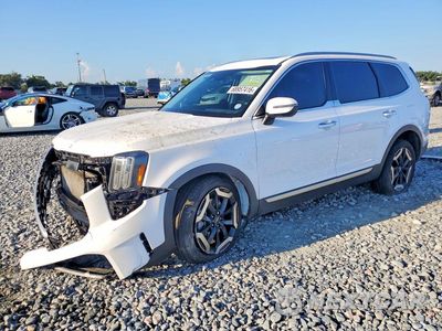 2024 KIA TELLURIDE S 5XYP64GC6RG483294 - główne zdjęcie licytacji z USA - miniatura