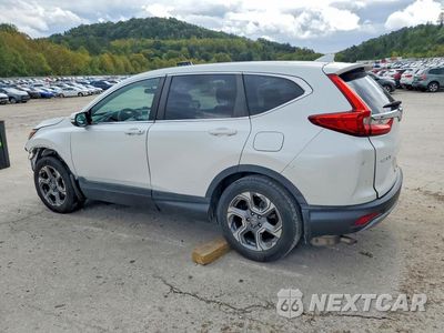 Drugie zdjęcie samochodu z przodu: 2019 HONDA CR-V EX VIN:2HKRW1H54KH507968 - miniatura
