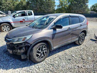 2016 HONDA CR-V SE 5J6RM4H42GL048189 - główne zdjęcie licytacji z USA - miniatura