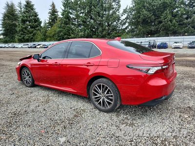 Drugie zdjęcie samochodu z przodu: 2023 TOYOTA CAMRY XLE VIN:4T1F11BK2PU079763 - miniatura