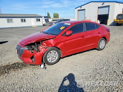 2019 HYUNDAI ELANTRA SE 5NPD74LF3KH495594 - główne zdjęcie licytacji z USA - miniatura