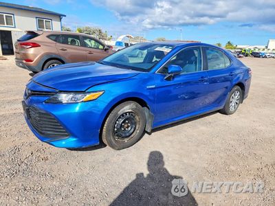 2020 TOYOTA CAMRY LE 4T1C31AK4LU012736 - główne zdjęcie licytacji z USA - miniatura