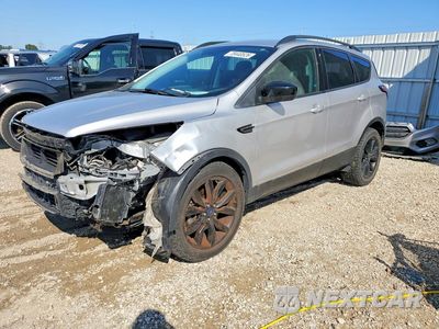 2017 FORD ESCAPE SE 1FMCU9GD8HUC23224 - główne zdjęcie licytacji z USA - miniatura
