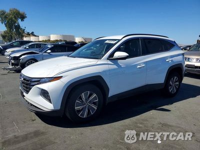 2023 HYUNDAI TUCSON BLUE KM8JBCA1XPU118918 - główne zdjęcie licytacji z USA - miniatura