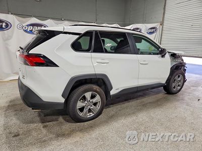 Trzecie zdjęcie samochodu z tyłu: 2025 TOYOTA RAV4 LE VIN:4T3LWRFV3SU172900 - miniatura