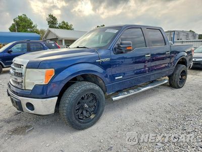 2013 FORD F150 SUPERCREW 1FTFW1ET7DKG25605 - główne zdjęcie licytacji z USA - miniatura
