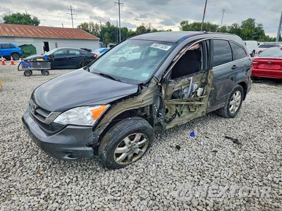 2011 HONDA CR-V SE 5J6RE4H44BL001770 - główne zdjęcie licytacji z USA - miniatura