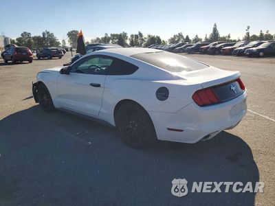 Drugie zdjęcie samochodu z przodu: 2017 FORD MUSTANG VIN:1FA6P8AM5H5287099 - miniatura