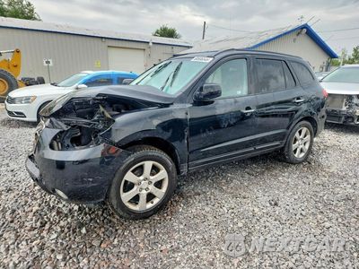 2008 HYUNDAI SANTA FE SE 5NMSH73EX8H204267 - główne zdjęcie licytacji z USA - miniatura