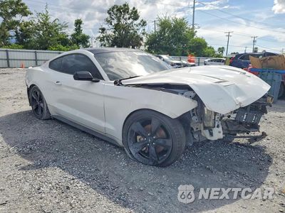 Czwarte zdjęcie samochodu z boku: 2021 FORD MUSTANG VIN:1FA6P8TH9M5147681 - miniatura