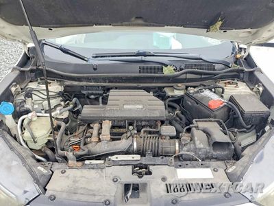 Zdjęcie 12 z 13 samochodu: 2017 HONDA CR-V EX VIN:2HKRW2H52HH645880 - miniatura