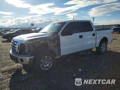 2011 FORD F150 SUPERCREW 1FTFW1EF4BKD21834 - główne zdjęcie licytacji z USA - miniatura