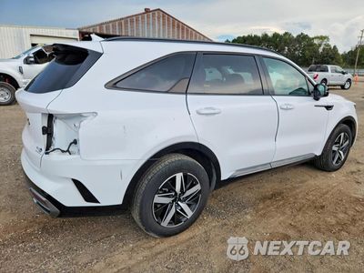 Trzecie zdjęcie samochodu z tyłu: 2023 KIA SORENTO S VIN:5XYRL4LC0PG174604 - miniatura