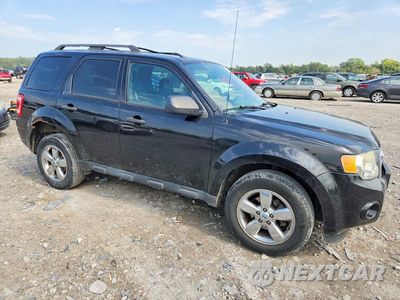 Czwarte zdjęcie samochodu z boku: 2011 FORD ESCAPE XLT VIN:1FMCU0DG1BKC61083 - miniatura