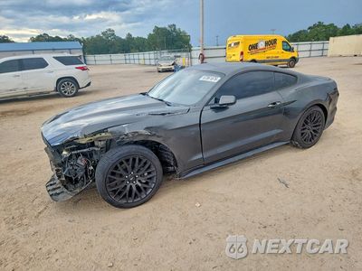 2016 FORD MUSTANG 1FA6P8TH7G5292948 - główne zdjęcie licytacji z USA - miniatura