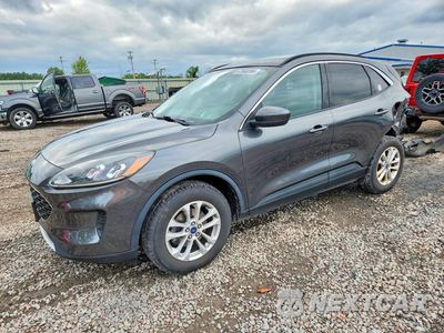 2020 FORD ESCAPE SE 1FMCU9G69LUC32198 - główne zdjęcie licytacji z USA - miniatura