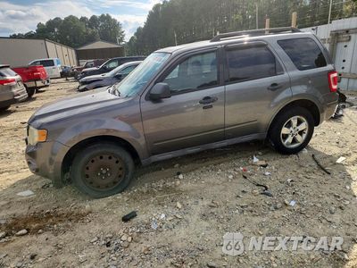 2009 FORD ESCAPE XLT 1FMCU03709KA93917 - główne zdjęcie licytacji z USA - miniatura