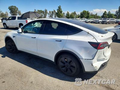 Drugie zdjęcie samochodu z przodu: 2024 TESLA MODEL Y VIN:7SAYGDEE8RF114582 - miniatura