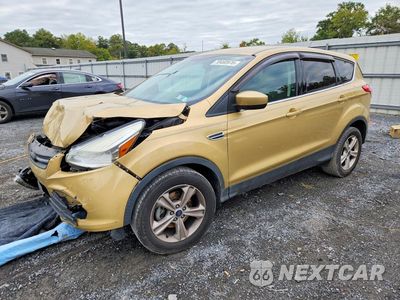 2015 FORD ESCAPE SE 1FMCU0GX6FUC74837 - główne zdjęcie licytacji z USA - miniatura