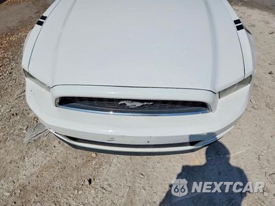Zdjęcie 11 z 12 samochodu: 2014 FORD MUSTANG VIN:1ZVBP8AM7E5210798 - miniatura