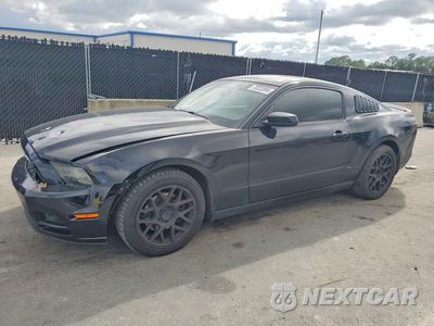 2014 FORD MUSTANG 1ZVBP8AM3E5230692 - główne zdjęcie licytacji z USA - miniatura