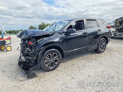 2021 HONDA CR-V EX 5J6RW2H51MA000598 - główne zdjęcie licytacji z USA - miniatura