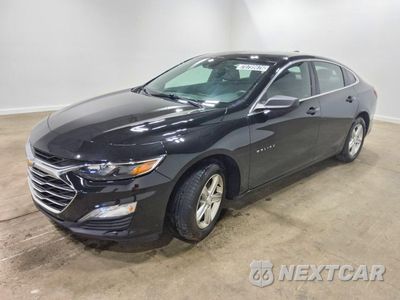 2023 CHEVROLET MALIBU LS 1G1ZC5ST7PF118159 - główne zdjęcie licytacji z USA - miniatura