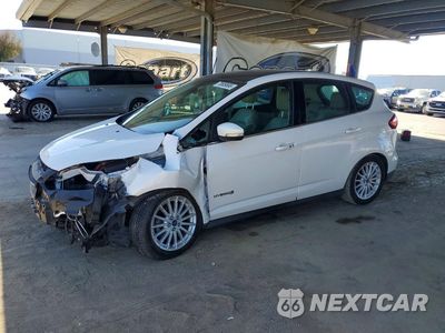 2013 FORD C-MAX SEL 1FADP5BU5DL548256 - główne zdjęcie licytacji z USA - miniatura