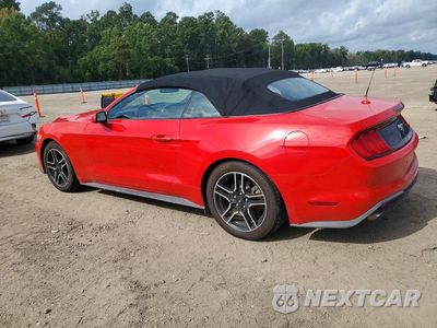 Drugie zdjęcie samochodu z przodu: 2019 FORD MUSTANG VIN:1FATP8UH7K5158841 - miniatura