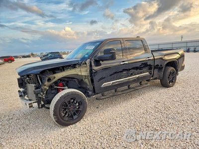 2025 TOYOTA TUNDRA 1794 EDITION 5TFMA5EC8SX045521 - główne zdjęcie licytacji z USA - miniatura
