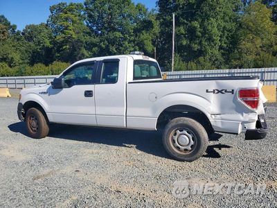 Drugie zdjęcie samochodu z przodu: 2012 FORD F150 VIN:1FTFX1EF2CFC41813 - miniatura