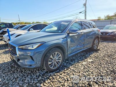 2024 INFINITI QX50 LUXE 3PCAJ5BB3RF109595 - główne zdjęcie licytacji z USA - miniatura